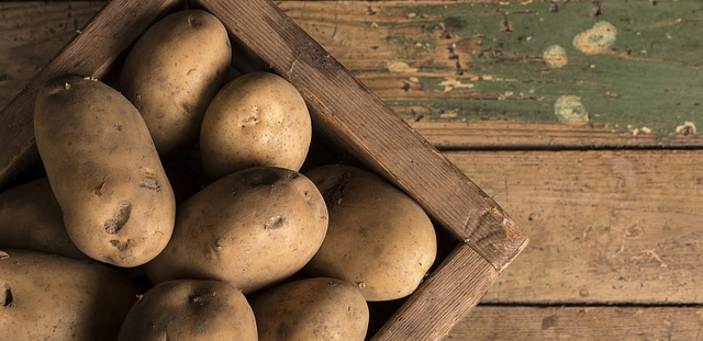 Kartoffeln- ein Dickmacher? eBalance Blog