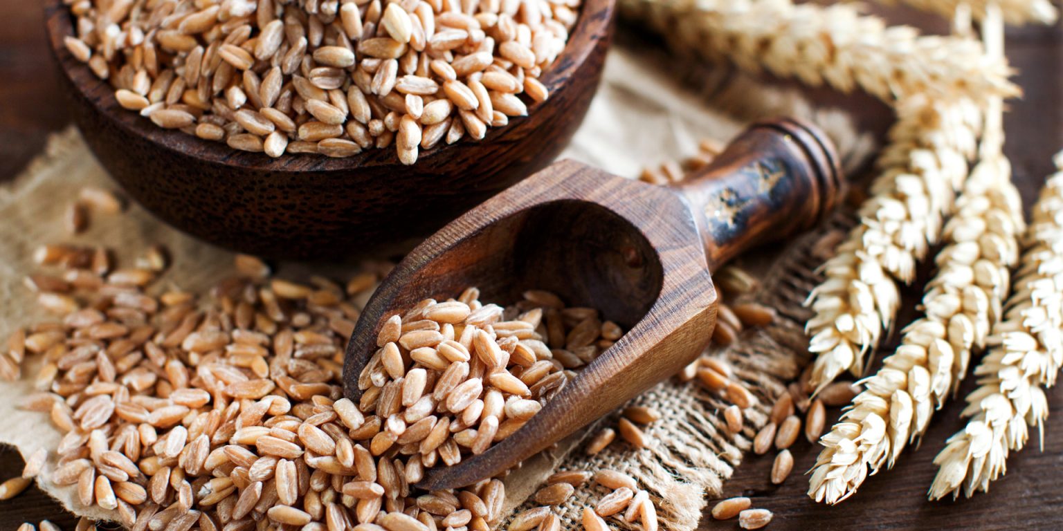 Warum Ist Dinkel Gesünder Als Weizen ebalance.ch